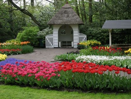 Pretty Resting Spot - peaceful, paving, tulips, path, white, purple, yellow, daisies, garden, hyacinth, shed, blooms, colour, pink, red, flowers, wishing well