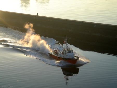 Victoria Pilot leaves - victoria bc, pilot boat, victoria, harbor boat