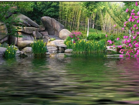 Beautiful lake surround - lake, flower, rocks, water