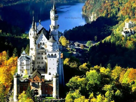 At field - lake, tree, castle, nature