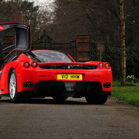 Red Enzo