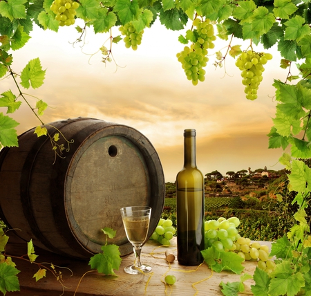 wine - vineyard, nice, barrel, photography, wine, still life, view, cool, bottle, drink, landscape, glass, fruit, cup, nature, beautiful, grapes, photo