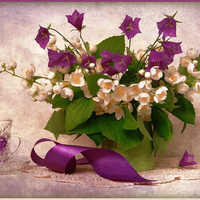 still life