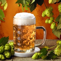 beer