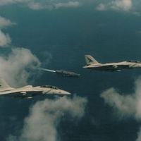 Grumman F14 Tomcats
