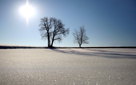 Frozen Pond - calm, trees, blue, pond, beautiful, sunshine, frozen, nature, clear, lakes, sky