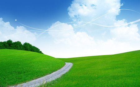 patch way - fields, nature, sky, patch, way, green, grass