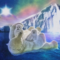 ARTIC BEARS