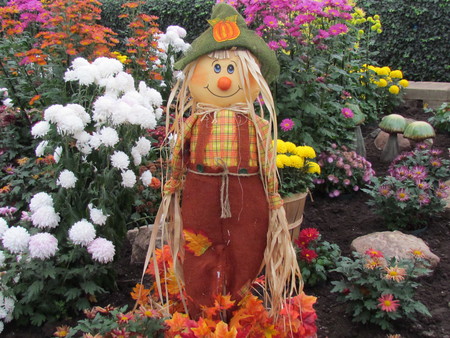 scarecrow in a greenhouse - nature, scarecrow, beauty, flowers