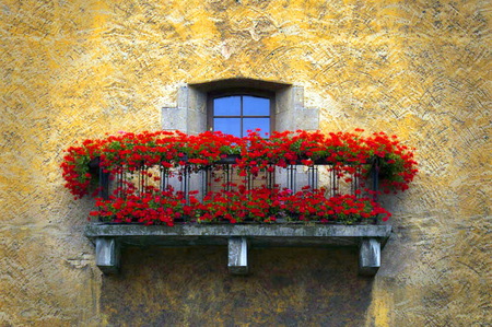 Balcony - house, sunlight, railing, stone, balcony, red flowers