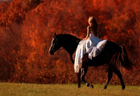 FRIENDS GOING HOME - road, friendship, horse, lady, woman, autum, friends, ride, field