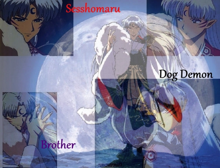 Sesshomaru - moon, male, fluffy, black, white, inuyasha, yellow, red, blue, dog demon, anime, sesshomaru, demon