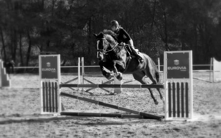 Nadhera - people, beautiful, event, equestrian, competition, horse