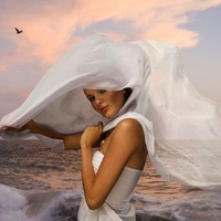 WHITE LONG VEIL