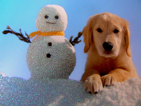 Best Friends - snowman, yellow, snow, dog, nice, sitting