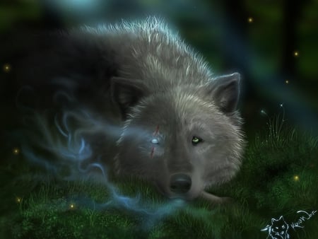 The koan Wolf - cg, 3d, gothic, wolf