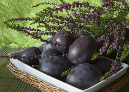 still life - nice, plums, photography, still life, fruit, purple, cool, beautiful, flowers, photo, elegantly, harmony