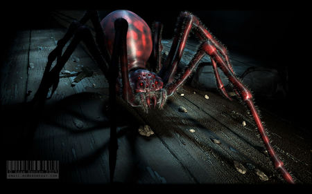 Spider - animal, horror, spider, fantasy