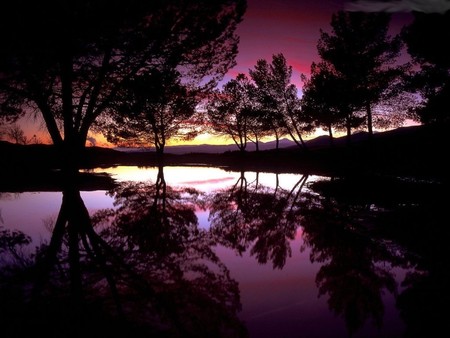 purple lake - trees, nature, purple, lakes, sky