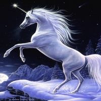 Moonlight Magic Unicorn-Sharlene Lindskog