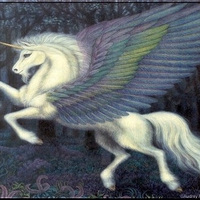 Winged Unicorn-Audrey Rawlings