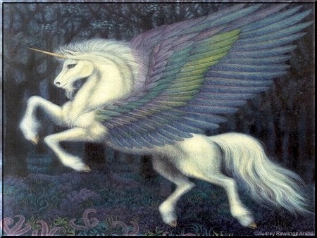 Winged Unicorn-Audrey Rawlings - abstract, horse, unicorns, audrey rawlings, fantasy horse, stallion, fantasy