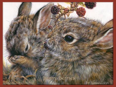 Bunnies Eating Berries - rabbits, drawing, art