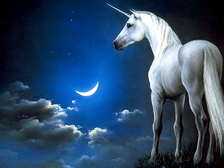 unicorn - fantasy, horse, horses, unicorn