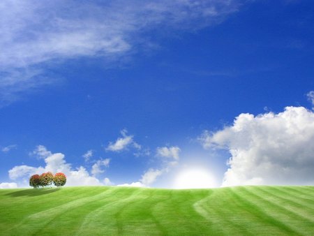 Bliss For You !!!  - sky, abstract, cloud, 3d art, tree, field