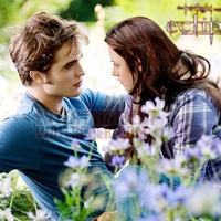 bella and edward