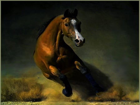 Horse - animal, abstrtact, horse, brown