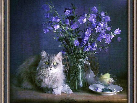 Special place - flower, animal, kitten, cat, sweet