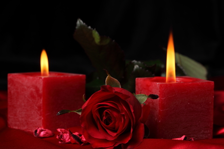 romance - beautiful, photography, candle, romance, flame, photo, cool, love, flower, still life, harmony, red, rose, nice