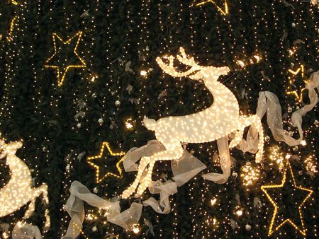 Christmas deer - photography, garland, holidays, lovely, stars, christmas, new year, lights, cute, candles, decorations, golden