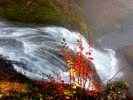 Waterfall In Autum - water, colorful, autum, color, waterfall, flower