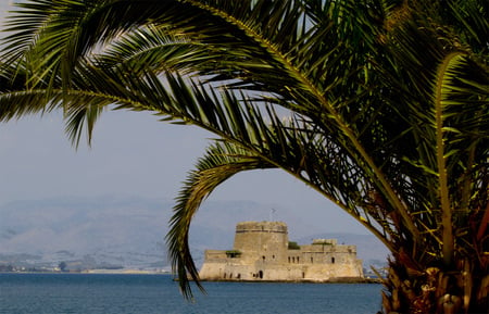 Palmtree at Messina, Greece - water, lookthrough, building, palmtree