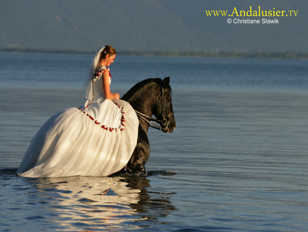 Bride Runs Away - black, spanish, bride, horses, girl, sea, andalusian