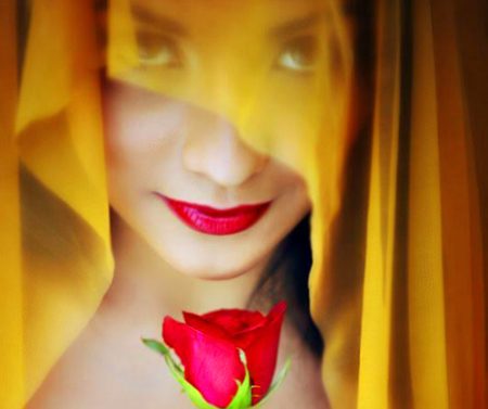 Yellow and red - sexy, girl, rose, model