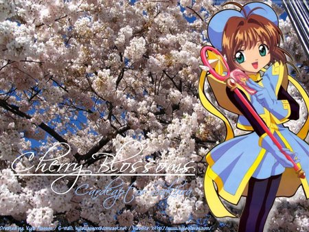 A Nap beside the Cherry Blossoms - costume, sakura, anime, cardcaptor, cherry blossoms