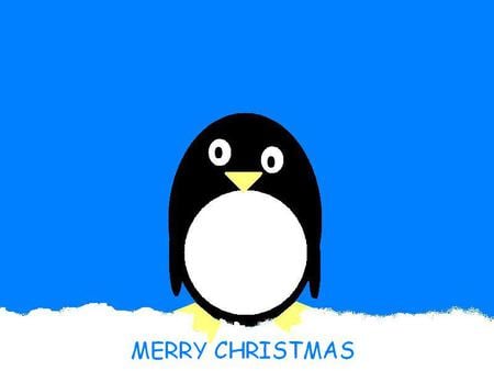 Christmas Penguin - christmas, snow, blue, penguin