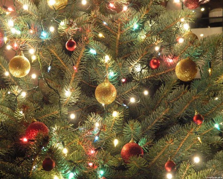 decorations  on the tree