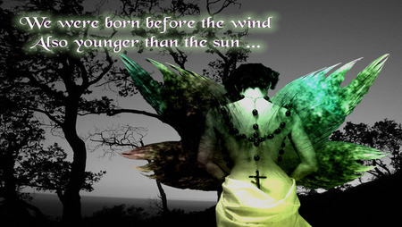 Mystic Angel - dark, nature, quote, angel