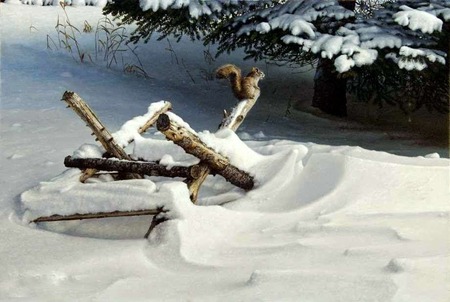 Snow Day - branches, squirrel, snow, winter, pine tree, tree