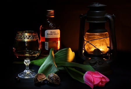 Still Life - beauty, photography, tulips, still life, dark, pretty, lamp, bottle, chocolate, wisky, drink, glass, light, tenderness, lovely, nature, beautiful, tulip, flowers, colors, flower