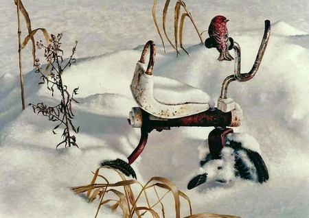 Forgotten - snow, winter, tricycle, finch, bird, reeds