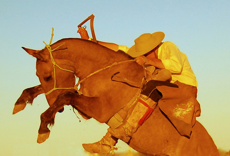 Rodeo - popular, rodeo, rider, yellow, brown, games, horse, animals