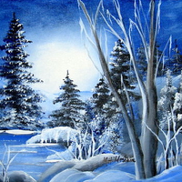Beautiful landscape
