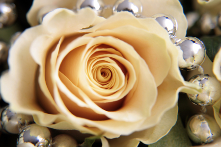 rose - nice, photography, necklace, rose, still life, elegant, cool, beautiful, photo, harmony, flower