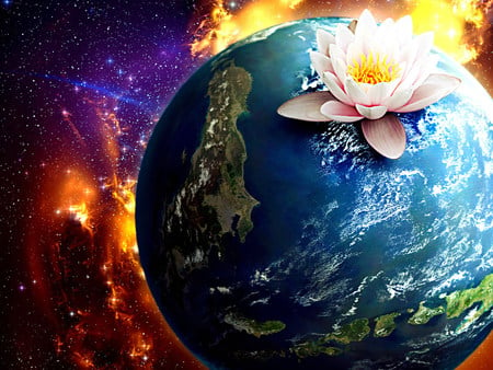 earth , space, lotus