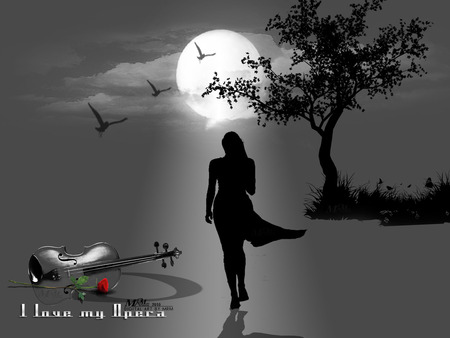 Wallpaper-Design-My-Opera - moon, birds, sillhoutte, bass, grass, flower, tree, lady, red, cloud